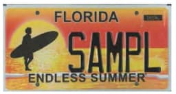 Endless Summer
