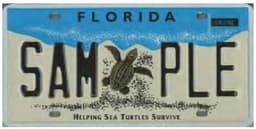 Sea Turtles
