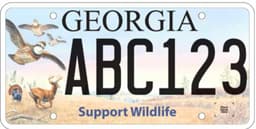 Bobwhite Quail
