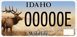 Wildlife (Elk)