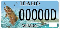 Wildlife (Trout)