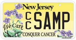 Conquer Cancer