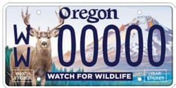 Watch for Wildlife