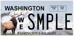 Wildlife (Elk)